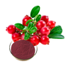 Extrato de cranberry de alta qualidade 10% proantocianidinas