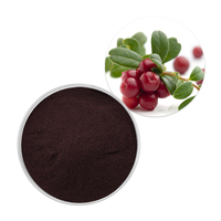 Extrato de cranberry de alta qualidade 10% proantocianidinas