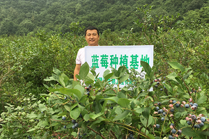 Em 2015, a empresa respondeu ativamente à política nacional de alívio da pobreza e cooperou com os agricultores locais em Jilin para estabelecer mirtilo e roxo -milho-produção-bases.