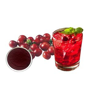 Extrato de Cranberry Proantocianidinas Cranberry Fruit Powder